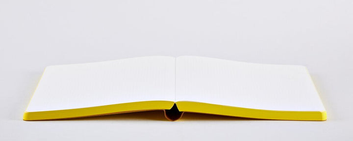 Have a Nice Idea Graphic Notebook