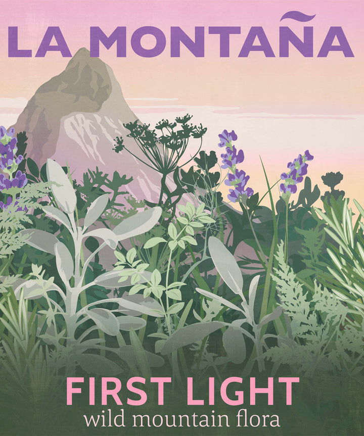 First Light Candle | La Montaña | Candles