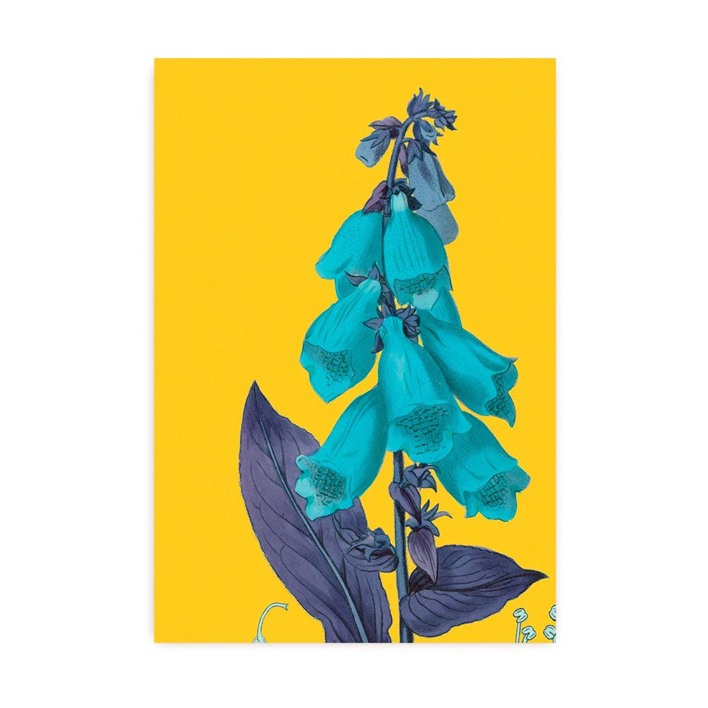 Foxgloves Postcard | Lagom Design | Postcards