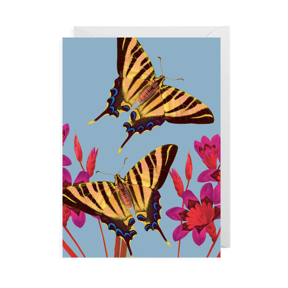 Ixia Butterfly Card