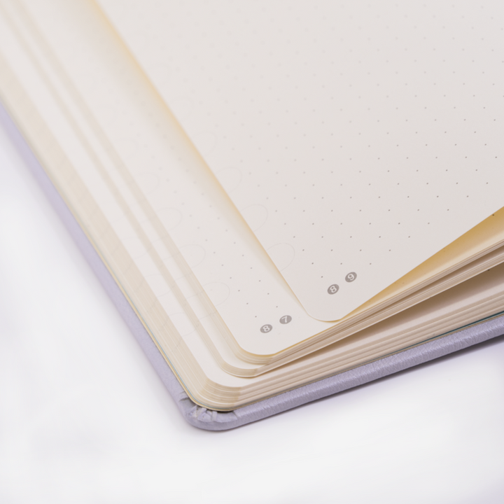 Dingbats* Earth Glacier Arctic Notebook | Dingbats* | Dotted Notebooks