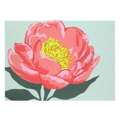 Pink Peony Boxed Card Set | Smudge Ink | Boxed Card Sets