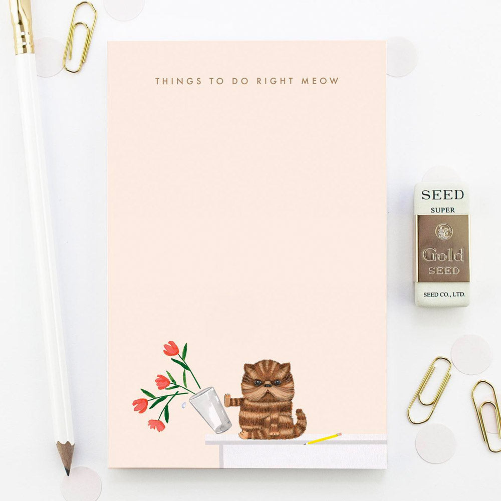 Right Meow Notepad