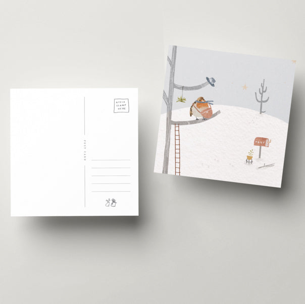 Robin Square Postcard | After Providence | Postcards