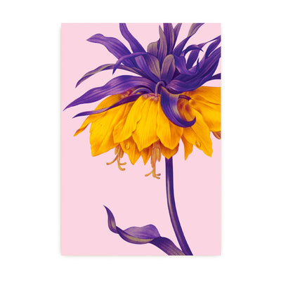 Yellow Crown Imperial Postcard | Lagom Design | Postcards