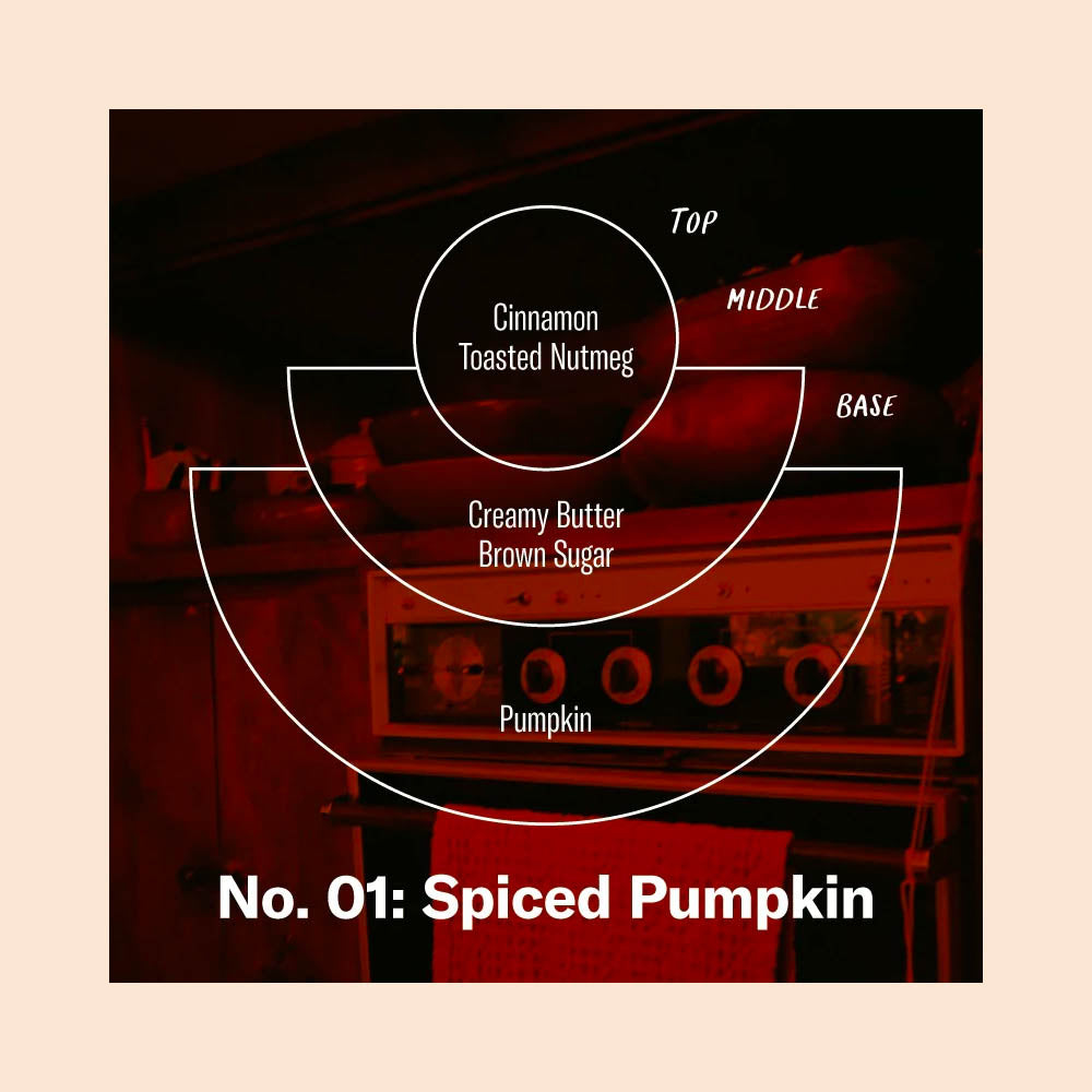 PF Candle Co Spiced Pumpkin Soy Candle