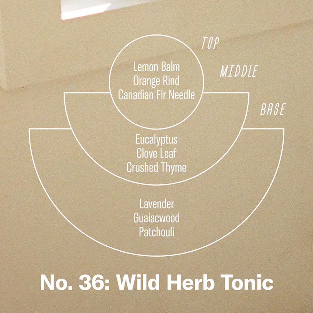 PF Candle Co Wild Herb Tonic Soy Candle