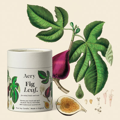 Aery Fig Leaf Tonic Scented Candle | Aery Living | Candles