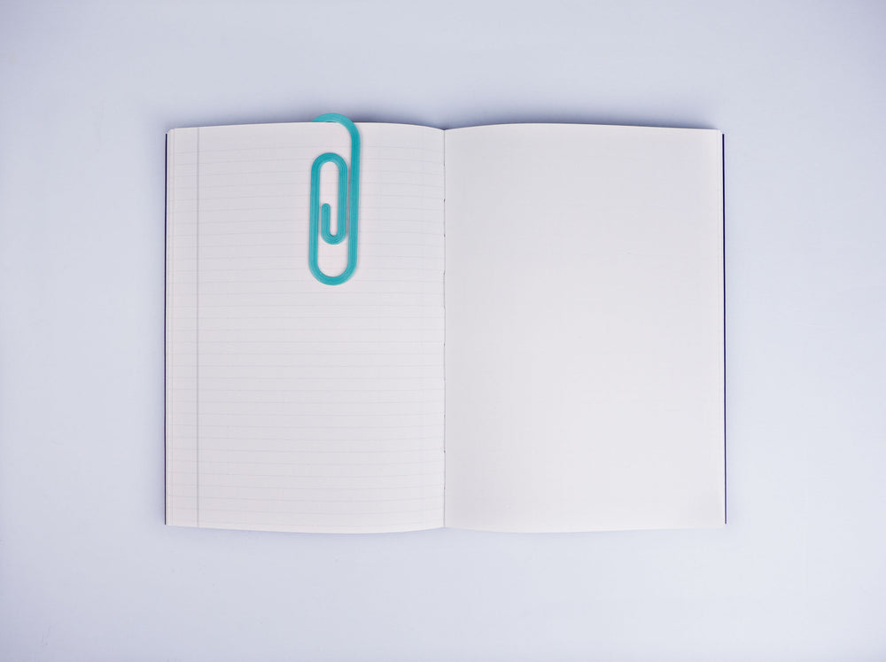Paperclip Bookmark | The Completist | Bookmarks