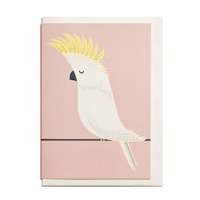 Cockatoo Card | I Ended Up Here | Everyday