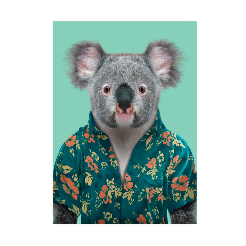 Zoo Portraits Koala Postcard | Lagom Design | Postcards