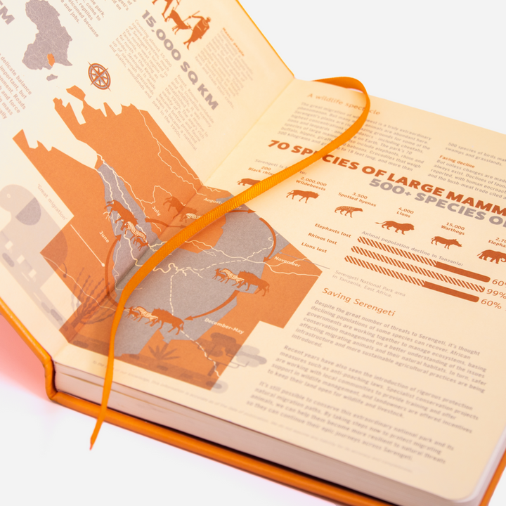 Dingbats* Earth Tangerine Serengeti Journal | Dingbats* | Dotted Notebooks