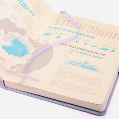 Dingbats* Earth Glacier Arctic Notebook | Dingbats* | Dotted Notebooks
