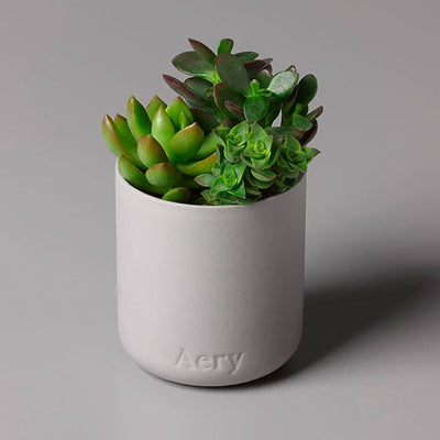 Aery Persian Thyme Scented Candle | Aery Living | Candles